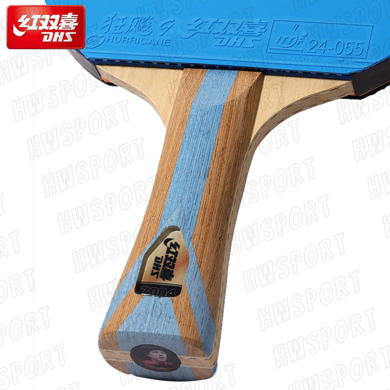 DHS 6 Star Color Table Tennis  - Table Tennis Review review and price
