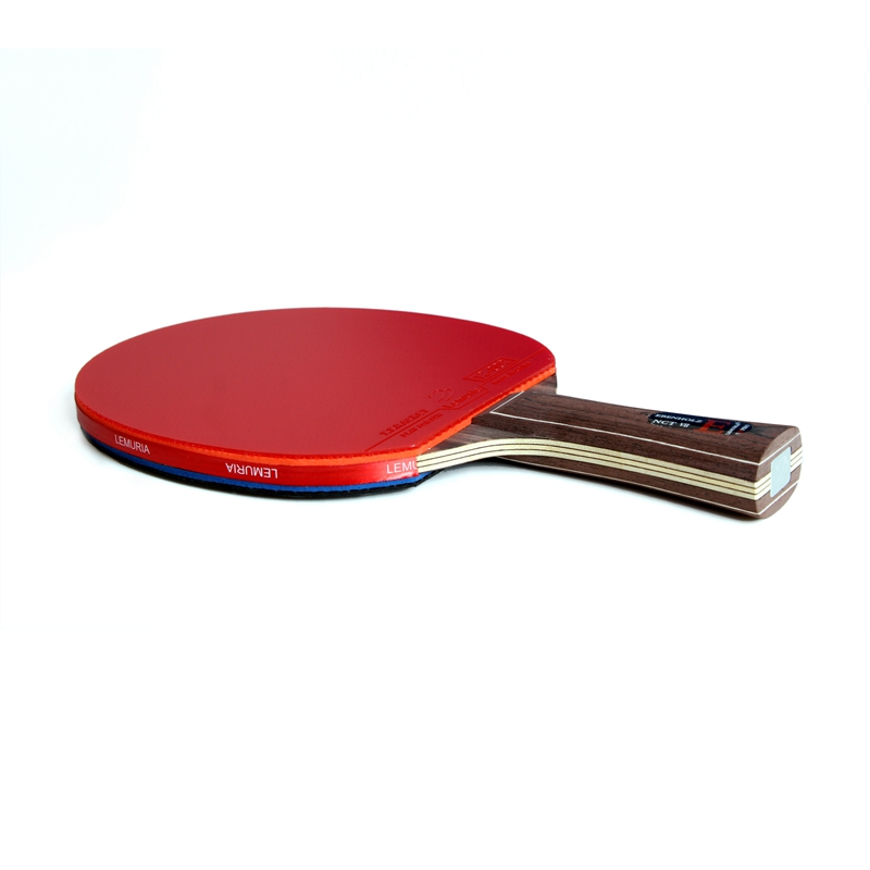 Lemuria EBENHOLZ-Table Tennis  - Table Tennis Review review and price