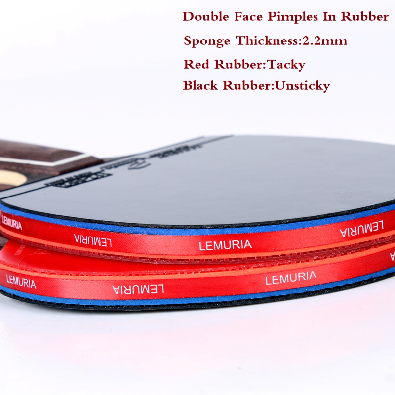 Lemuria EBENHOLZ-Table Tennis  - Table Tennis Review review and price