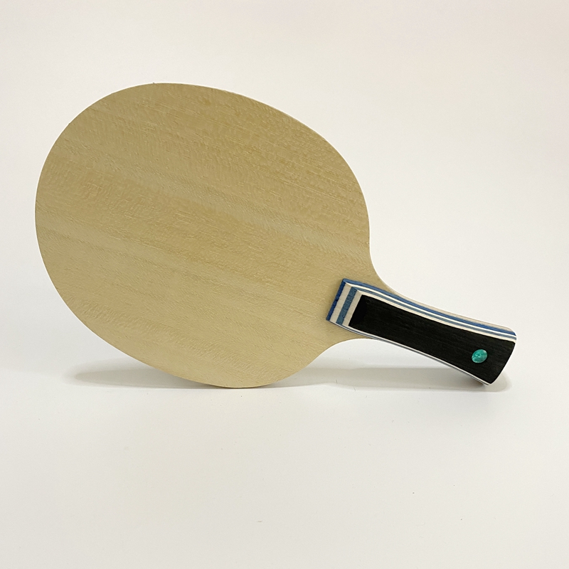 Lemuria VIS Carbon Fiber Table - Table Tennis Review review and price