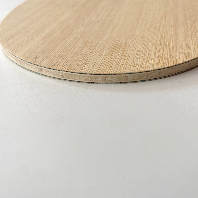 Lemuria VIS Carbon Fiber Table - Table Tennis Review review and price