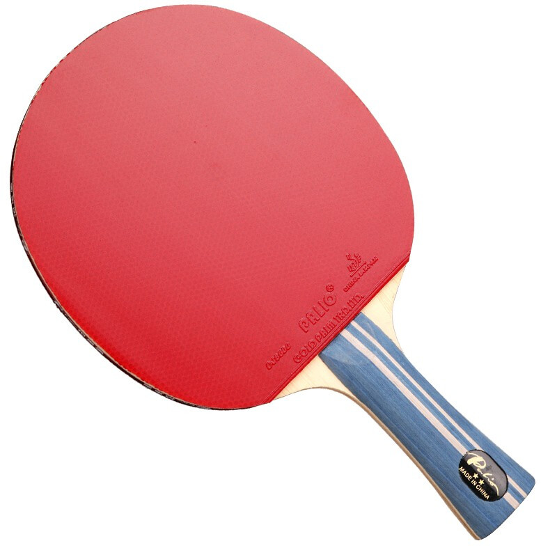 Original PALIO 2 Stars Table T - Table Tennis Spin review and price