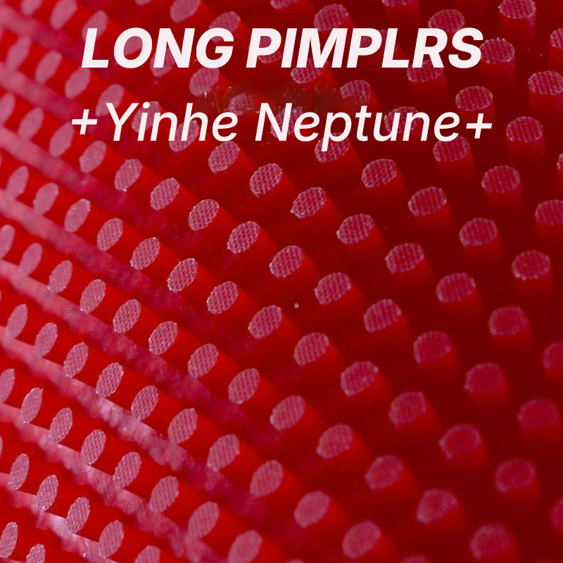 YINHE NEPTUNE Long Pimples Tab - Table Tennis Spin review and price
