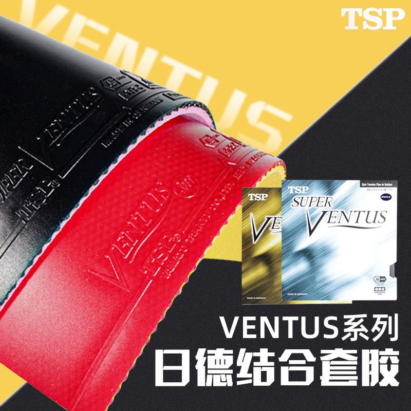 VICTAS VENTUS BASIC Table Tenn - Table Tennis Basic review and price